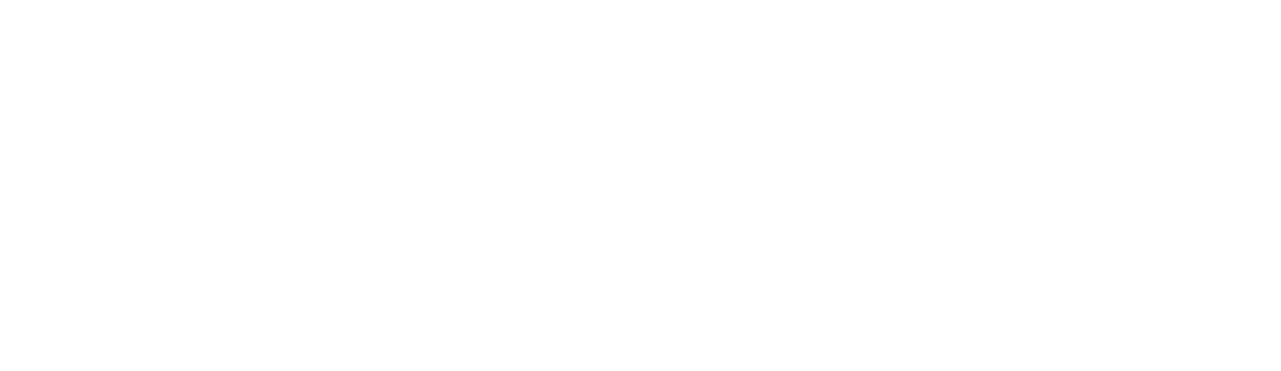 Zizr Logo White New